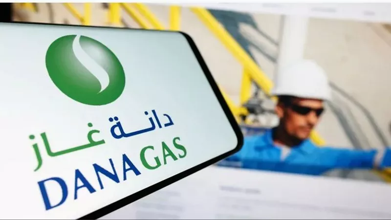دانة غاز تستثمر 100 مليون دولار لحفر 11 بئرا جديدة وتعزز إنتاجها في مصر
