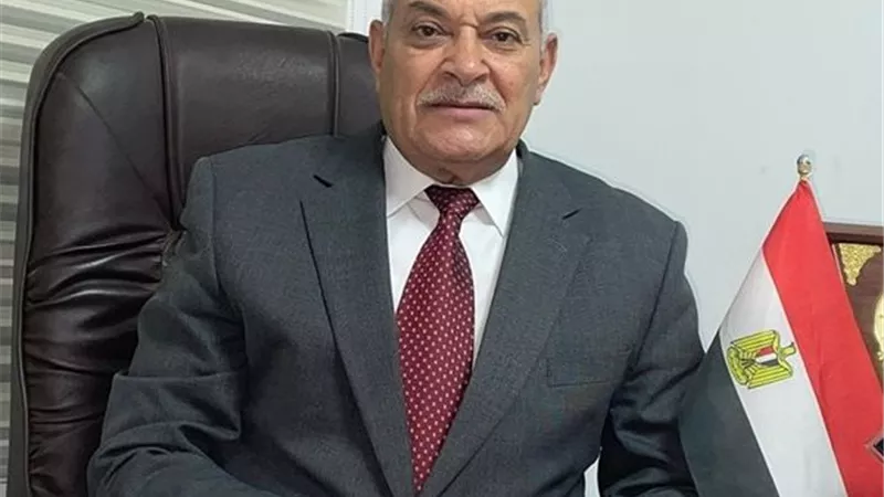 رئيس شعبة الدواجن: المنتج بيبيع بخسارة.. وصغار المربين على حافة الإفلاس