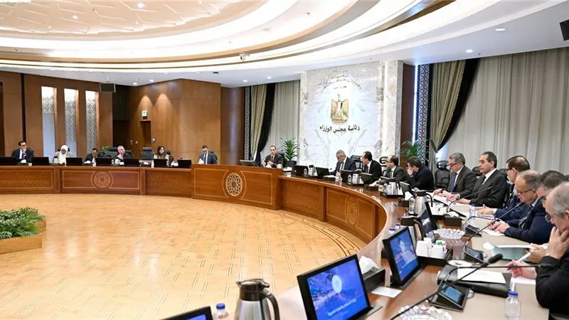  40.7 مليار دولار صادرات غير بترولية خلال 10 أشهر.. أعلى رقم في تاريخ مصر