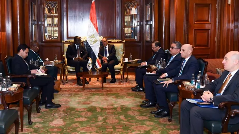 وزير الخارجية يبحث مع رئيس مفوضية الإيكواس تعزيز التعاون المشترك