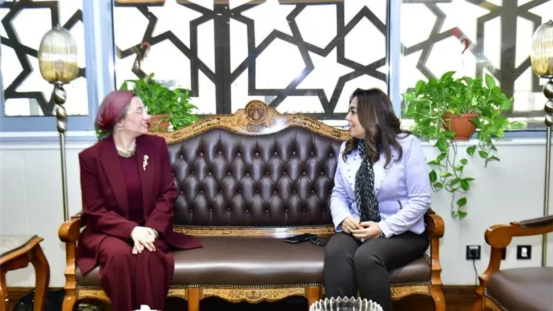 الحكومة المصرية تبحث مع الأمم المتحدة اتفاقية مكافحة التصحر 