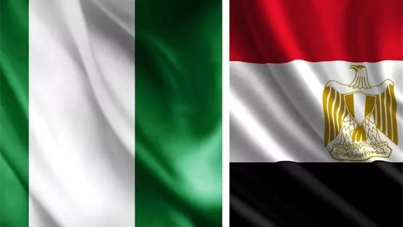 مصر ونيجيريا تعززان الشراكة وتبحثان الملفات الإقليمية والدولية الحيوية 