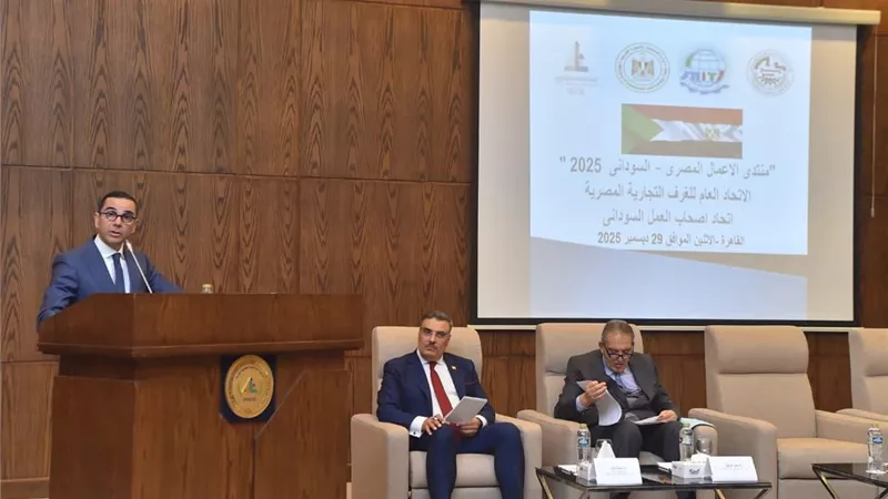 بـ 3320 شركة.. استثمارات سودانية في مصر تنمو 39% خلال 2024 
