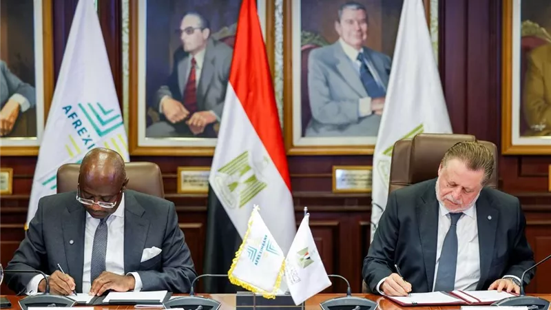 مصر تتصدر إفريقيا.. بنك مركزي للذهب لتعزيز الاستقرار الاقتصادي والتكامل القاري