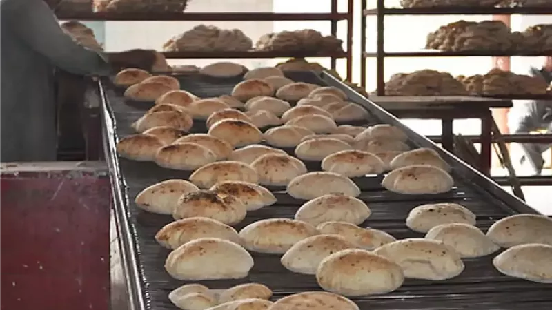 شعبة أصحاب المخابز بالقاهرة: اشتراطات صحية صارمة لضمان إنتاج خبز آمن