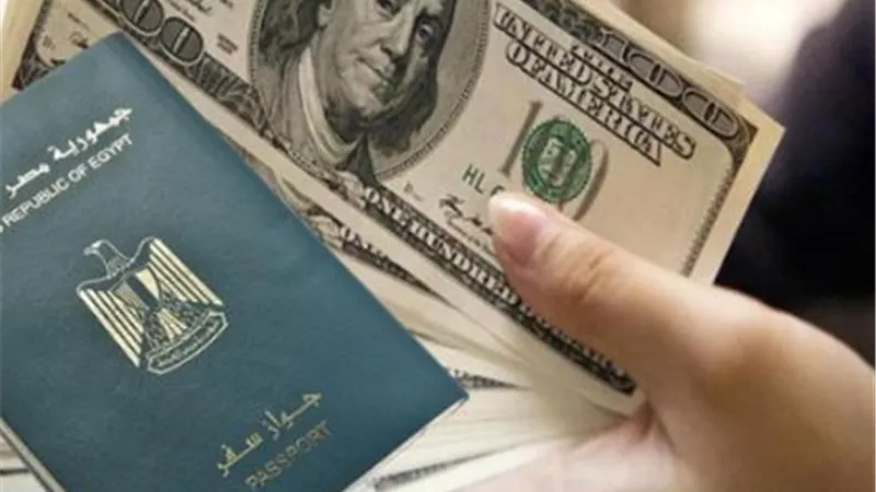 الجنسية المصرية للأجانب متاحة مقابل الاستثمار بشرط الالتزام بالشروط الرسمية