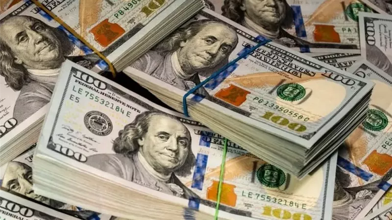 خبير اقتصادي: ارتفاع تحويلات المصريين بالخارج يعزز استقرار الجنيه ويخفض التضخم