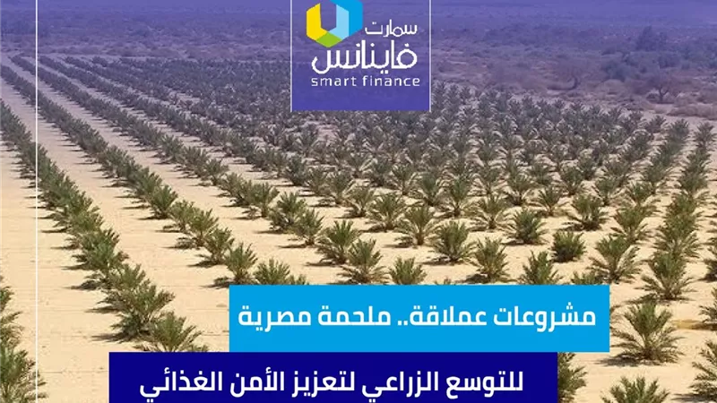 مشروعات عملاقة.. ملحمة مصرية للتوسع الزراعي لتعزيز الأمن الغذائي