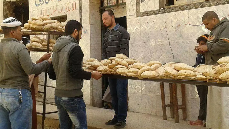 ريتش بيك تخطط لضخ 80 مليون دولار في مصر لتوسيع الإنتاج حتى 2030