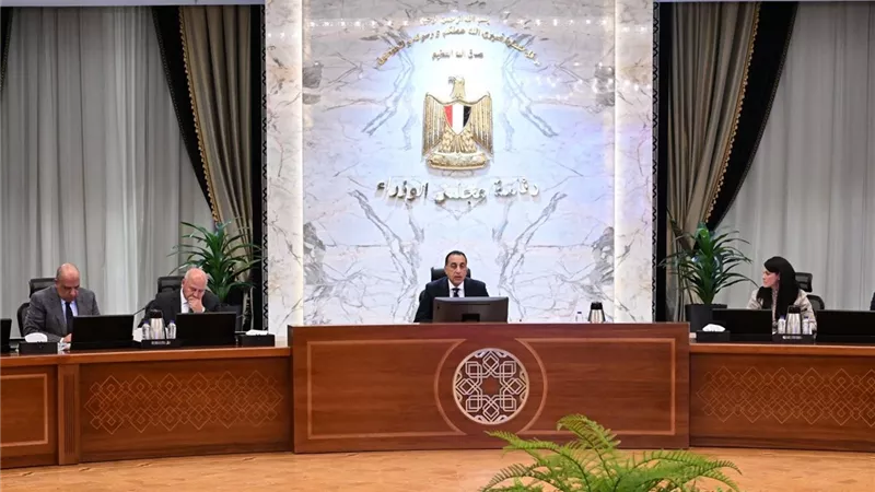 رئيس الوزراء يتابع موقف مشروع إنتاج الهيدروجين الأخضر بقدرة 100 ميجاوات