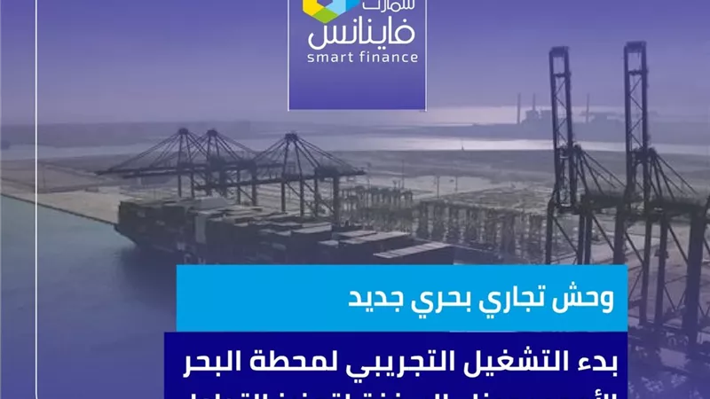 وحش تجاري بحري جديد.. ​بدء التشغيل التجريبي لمحطة البحر الأحمر بميناء السخنة