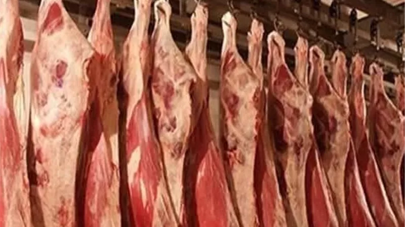 غدًا.. التموين تعلن عن ضخ لحوم سودانية طازجة بأسعار مناسبة 