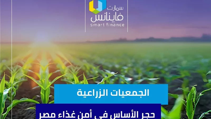 الجمعيات الزراعية.. حجر الأساس في أمن غذاء مصر