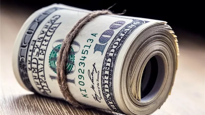 سعر الدولار أمام الجنيه اليوم الأحد 1-2-2026 في البنوك المصرية