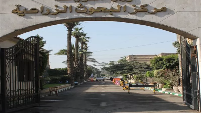 الابتكار يقود الزراعة المصرية.. اعتمادات دولية ومركز بحوث من الأفضل عالميًا