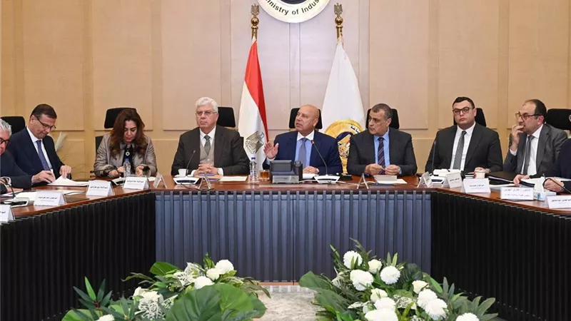 مليار دولار للكيماويات و291 مليونًا لإطارات السيارات.. قرارات حاسمة في اجتماع التنمية الصناعية