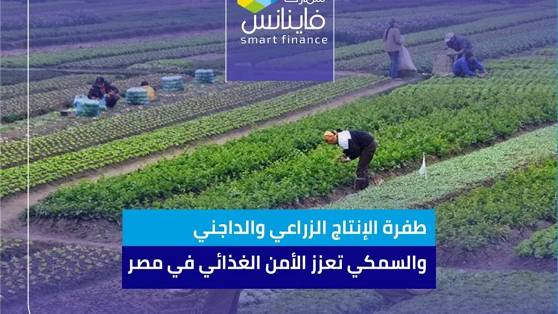 طفرة الإنتاج الزراعي والداجني والسمكي تعزز الأمن الغذائي في مصر