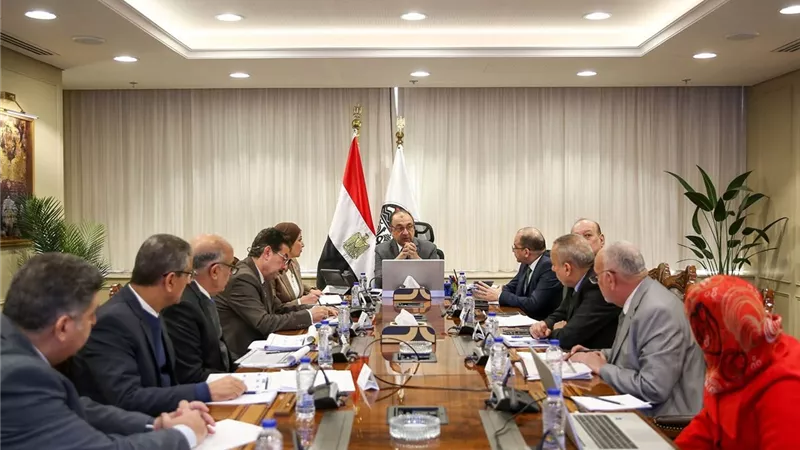 وزير قطاع الأعمال يتابع تقدم مشروعات «حياة كريمة»: 737 مشروعًا في 13 محافظة وتكلفة 22.5 مليار جنيه