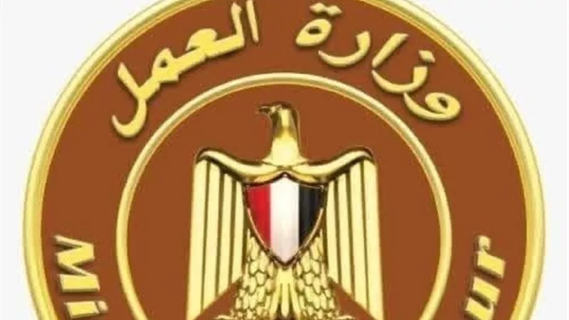 «العمل» تفتح تحقيقًا عاجلًا بعد فيديو «مكتب دسوق الفارغ» وتستدعي صاحب الشكوى