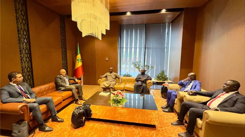 مصر والسنغال تنسقان لوضع خطة تنفيذية شاملة لرؤية إفريقيا للمياه 2063