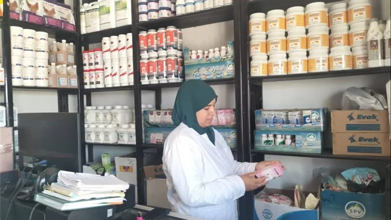 بسبب بودرة السيراميك.. صرخة استغاثة لحماية المربين من مافيا الدواء المغشوش