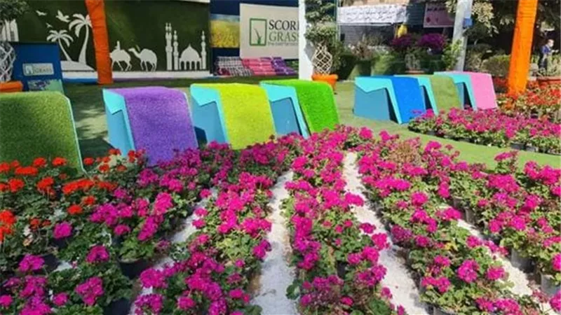إقبال قياسي على حجز «معرض زهور الربيع 2026».. أكثر من 50 عارضًا كبارًا ومشاركة موسعة لـ«ديارنا» للعام الثاني