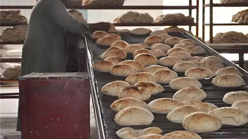بشرى لأصحاب المخابز بالجيزة..
