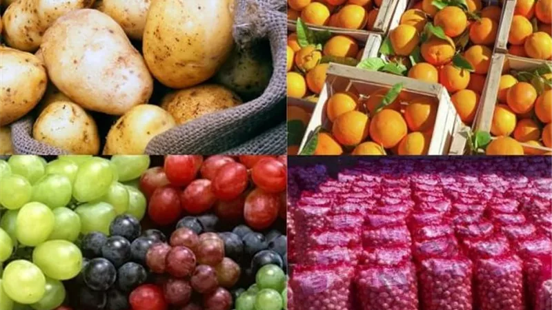 الصادرات الزراعية المصرية تتجاوز 5.8 مليون طن.. ما سر القفزة القياسية؟