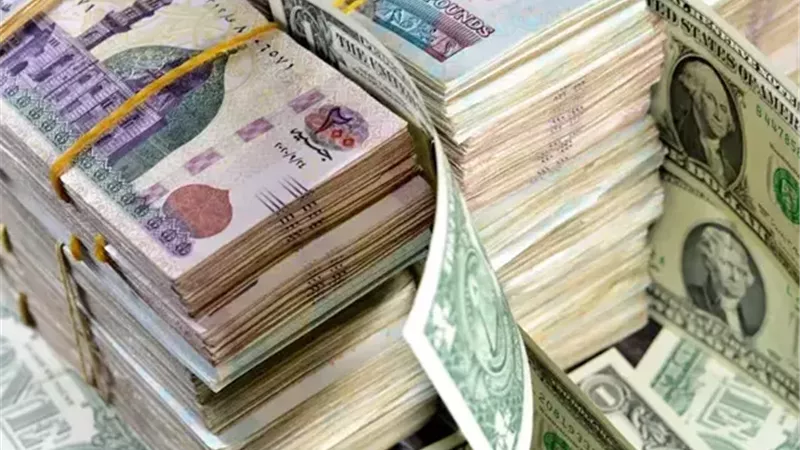 توقعات بخفض الفائدة بنسبة 2% ضمن قرارات البنك المركزي المصري القادمة