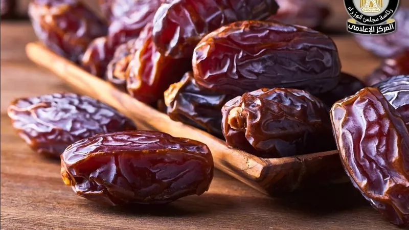 مصر الأولى عالميًا في إنتاج التمور بـ 2 مليون طن سنويًا