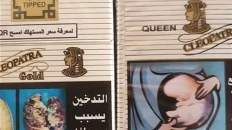 رسمياً.. زيادة 4 جنيهات في أسعار السجائر الشعبية من «الشرقية للدخان»