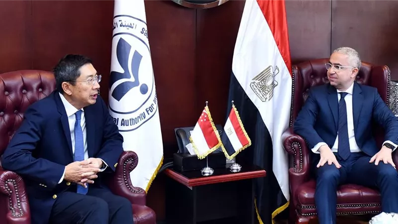  استثمارات بمليارات الدولارات على الطاولة.. مصر وسنغافورة تبحثان شراكة جديدة في اللوجستيات والطاقة الخضراء