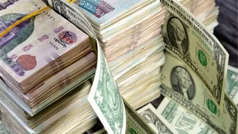 غرفة بورسعيد: خفض الفائدة 1% انطلاقة قوية لـ دورة التيسير النقدي