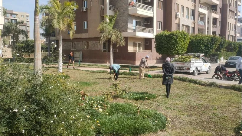 جهاز العبور يطلق حملة موسعة لرفع كفاءة المسطحات الخضراء وتعزيز الهوية البصرية للمدينة