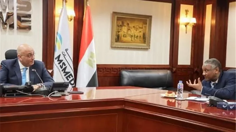 تنمية المشروعات يستقبل وفد رفيع المستوى من السودان لبحث دعم المشروعات الصغيرة