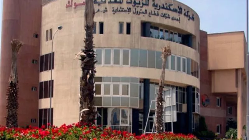 «أموك» ترفع مستهدفات أرباحها في موازنة 2026 إلى 2.1 مليار جنيه بنمو 105%