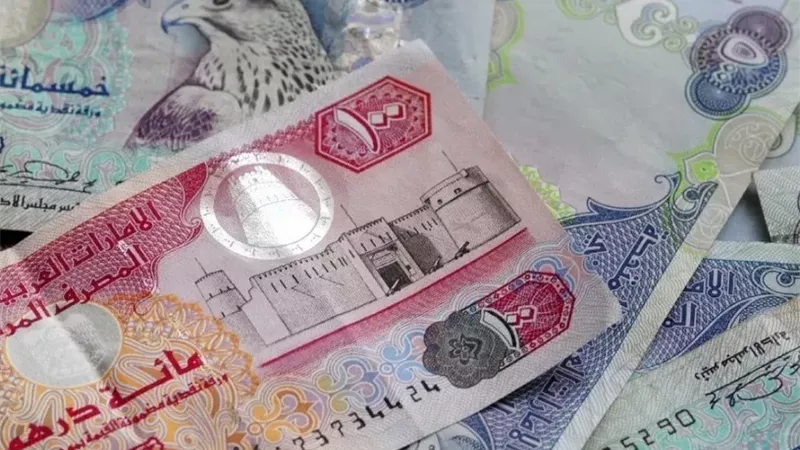 استقرار سعر الدرهم الإماراتي مقابل الجنيه اليوم الأربعاء في البنوك