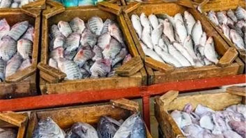 أسعار الأسماك اليوم تشهد تباينًا بالأسواق المحلية.. والبلطي يسجل تراجعًا طفيفًا