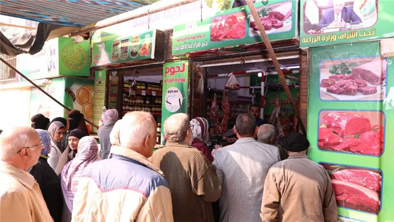 1000 منفذ قريباً.. 