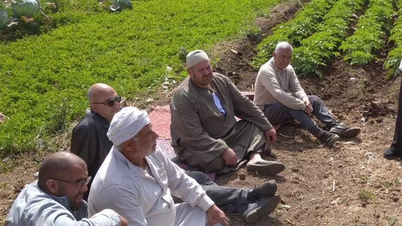 افتتاح 20 معملاً لرقابة البطاطس وتحليل 7426 عينة..قفزة علمية لمركز البحوث الزراعية
