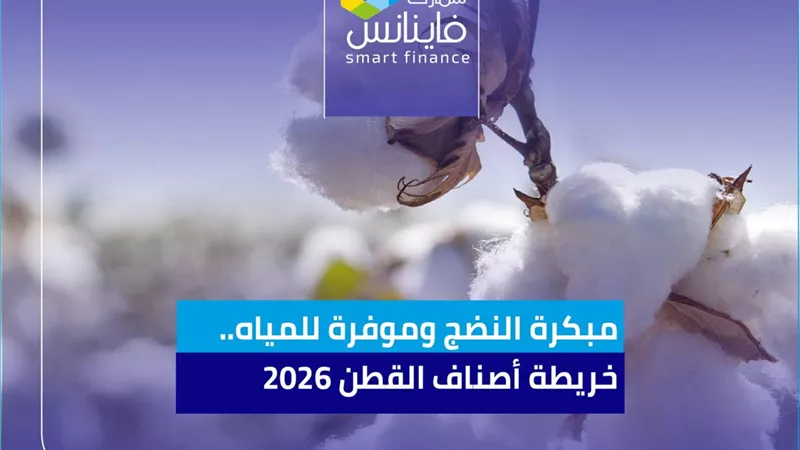 مبكرة النضج وموفرة للمياه.. خريطة أصناف القطن 2026