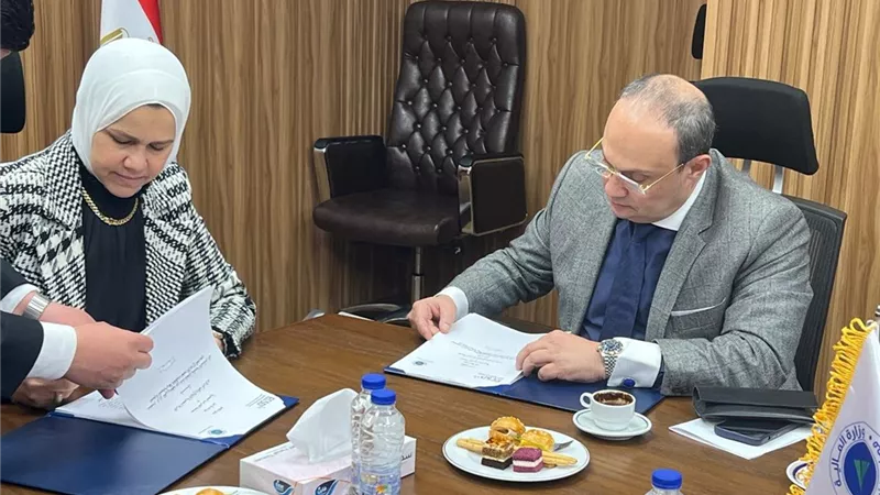 رشا عبدالعال: إطار إجرائي محدد ومنضبط لتطبيق اتفاقيات تجنب الازدواج الضريبي وتعزيز ثقة المستثمرين الأجانب 