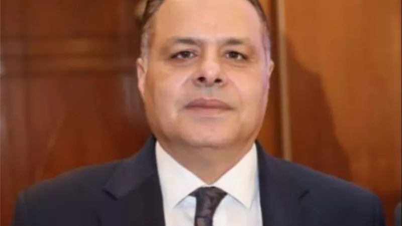 عضو غرفة الصناعات المعدنية: مشروعات البنية التحتية ورأس الحكمة تقود طفرة الاستثمار في مصر