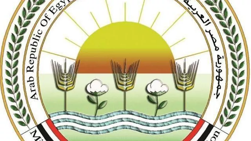 الزراعة: تحصين أكثر من مليون طائر وفحص 715 مزرعة لحماية الثروة الداجنة خلال يونيو