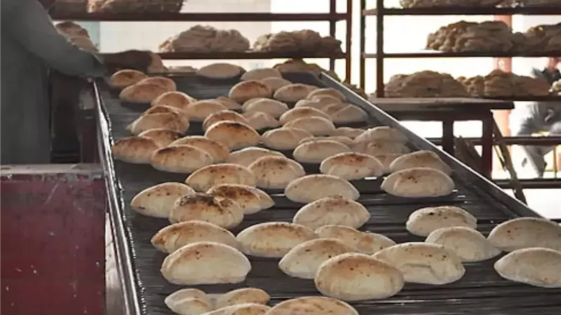 شعبة المخابز تحسم الجدل: رغيف الـ80 جراماً بـ2 جنيه لمواجهة غلاء الوقود
