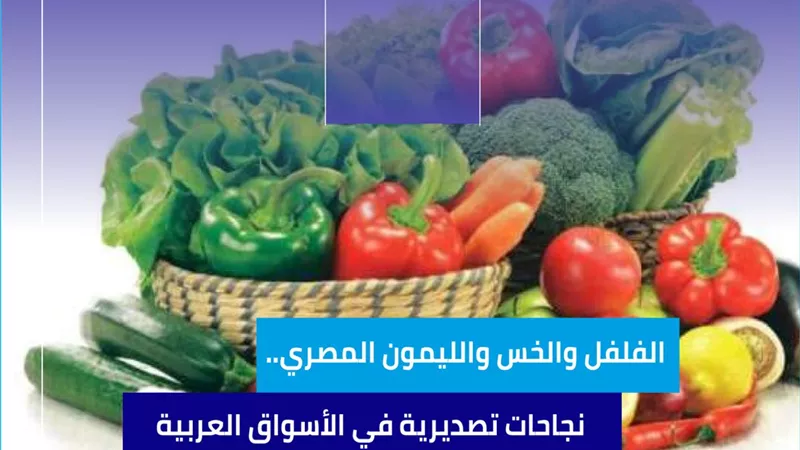 الفلفل والخس والليمون المصري.. نجاحات تصديرية في الأسواق العربية