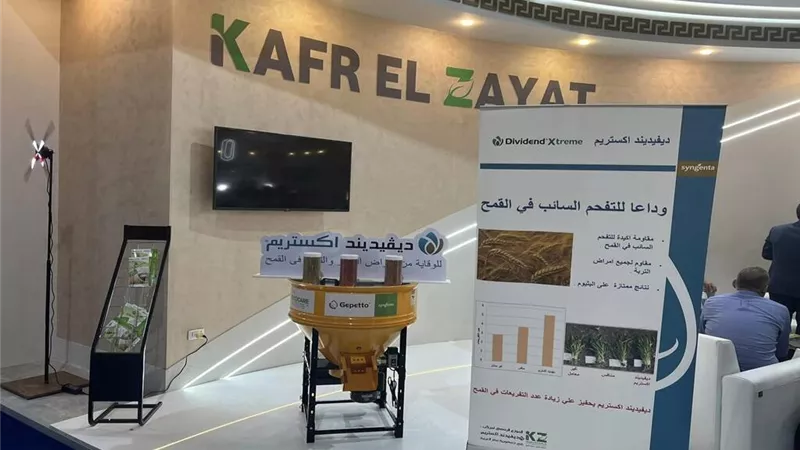 أرباح 