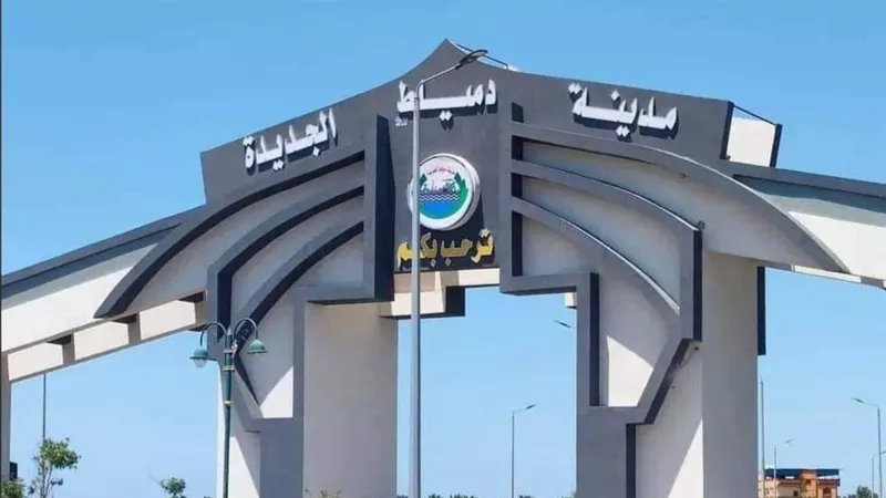 5 إبريل المقبل.. طرح 15 محل تجارى بدمياط الجديدة للبيع بالمزاد العلنى 