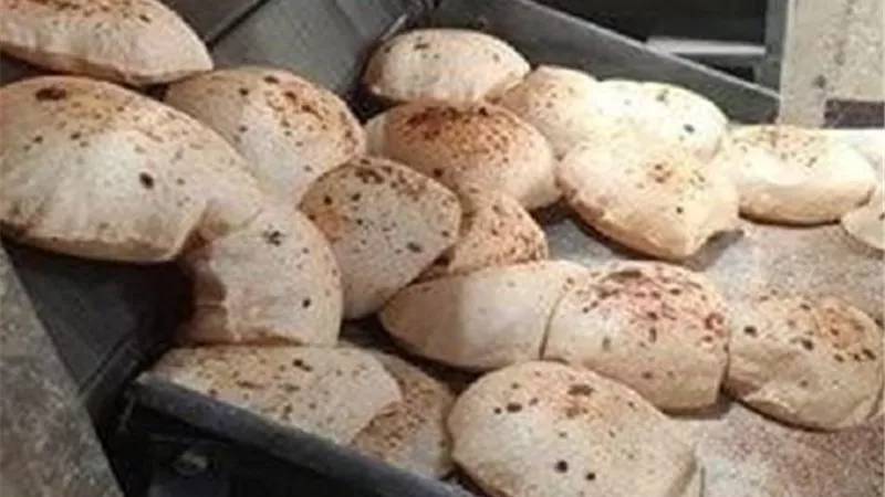 تموين القليوبية يعلن خطة عمل المخابز بالتناوب خلال عيد الفطر