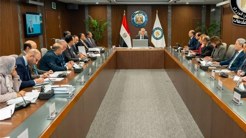 الشركة المصرية للبتروكيماويات تطلق خطة خمسية طموحة لتوطين الصناعة بطاقة إنتاجية 7.5 مليون طن واستثمارات 11 مليار دولار
